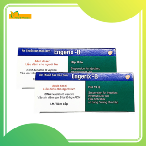 Engerix B – Vaccine phòng bệnh do virus viêm gan B