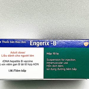 Engerix B – Vaccine phòng bệnh do virus viêm gan B